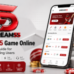 Dream 55 Game online