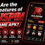 Rajspin game apk